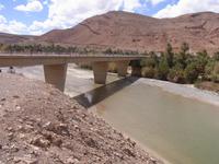 Ziz Tal
