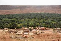 Ziz-Tal1