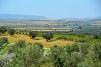 fruchtbares Land