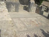 viele Mosaike