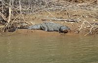 16 Tage Rundreise mit Mexiko-Stadt - Teotihuacan - Cuernavaca - Taxco - Oaxaca - Monte Alban - San Cristobal de las Casas - San Juan de Chamula - Palenque - Campeche - Merida - Chichen Itza - Cancun (637)