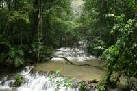 16 Tage Rundreise mit Mexiko-Stadt - Teotihuacan - Cuernavaca - Taxco - Oaxaca - Monte Alban - San Cristobal de las Casas - San Juan de Chamula - Palenque - Campeche - Merida - Chichen Itza - Cancun (972)