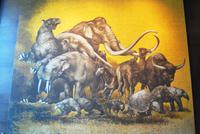 Mexiko Stadt - Anthropologisches Museum