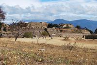 Monte Alban