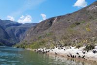 Nationalpark Cañón del Sumidero