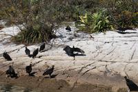Nationalpark Cañón del Sumidero