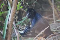 Nationalpark Cañón del Sumidero