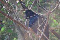 Nationalpark Cañón del Sumidero