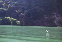 Nationalpark Cañón del Sumidero