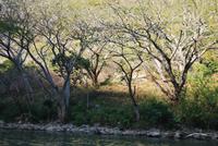 Nationalpark Cañón del Sumidero