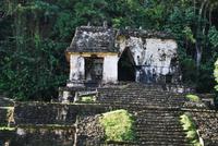Archäologische Zone Palenque