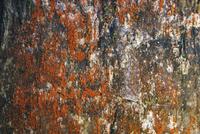 Archäologische Zone Palenque