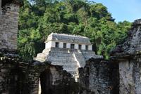 Archäologische Zone Palenque