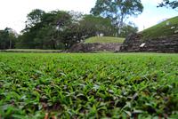 Archäologische Zone Palenque