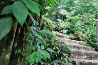 Archäologische Zone Palenque