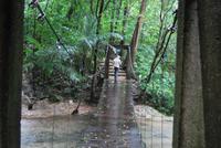 Archäologische Zone Palenque