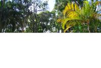 Cuernavaca - Jardín Borda