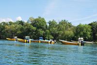 Nationalpark Cañón del Sumidero