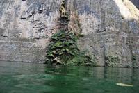 Nationalpark Cañón del Sumidero