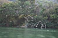 Nationalpark Cañón del Sumidero