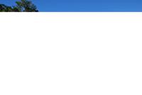 Archäologische Zone Palenque