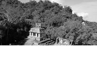 Archäologische Zone Palenque