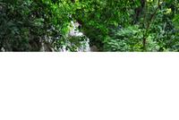 Archäologische Zone Palenque