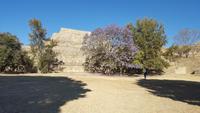 16 Tage Rundreise mit Mexiko-Stadt - Teotihuacan - Cuernavaca - Taxco - Oaxaca - Monte Alban - San Cristobal de las Casas - San Juan de Chamula - Palenque - Campeche - Merida - Chichen Itza - Cancun (291)