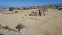 16 Tage Rundreise mit Mexiko-Stadt - Teotihuacan - Cuernavaca - Taxco - Oaxaca - Monte Alban - San Cristobal de las Casas - San Juan de Chamula - Palenque - Campeche - Merida - Chichen Itza - Cancun (339)