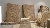 16 Tage Rundreise mit Mexiko-Stadt - Teotihuacan - Cuernavaca - Taxco - Oaxaca - Monte Alban - San Cristobal de las Casas - San Juan de Chamula - Palenque - Campeche - Merida - Chichen Itza - Cancun (382)