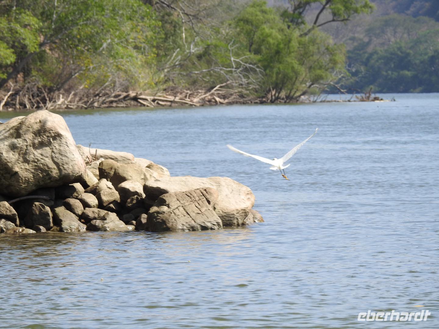 Bootsfahrt Sunidero Canyon