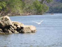 Bootsfahrt Sunidero Canyon