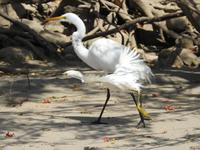 Bootsfahrt Sunidero Canyon