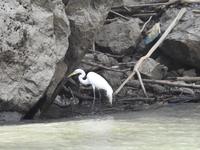 Bootsfahrt Sunidero Canyon