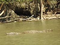 Bootsfahrt Sunidero Canyon