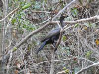 Bootsfahrt Sunidero Canyon