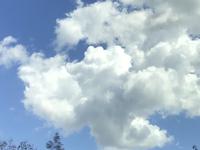 Wer kann den Kopf vom alten Mann sehen?