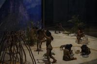 Anthropologische Nationalmuseum