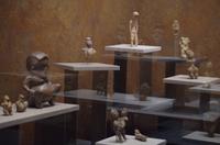 Anthropologische Nationalmuseum