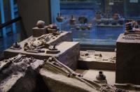 Anthropologische Nationalmuseum