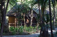 Anthropologische Nationalmuseum