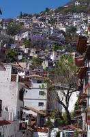 Taxco