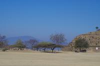 Monte Alban