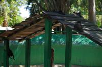 Museumspark La Venta