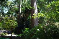 Museumspark La Venta