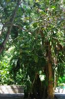 Museumspark La Venta