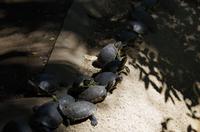 Museumspark La Venta