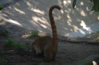 Museumspark La Venta