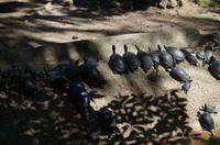 Museumspark La Venta