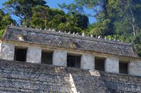 Palenque